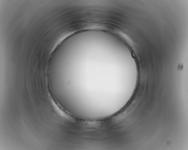 X0000092251041200709141001