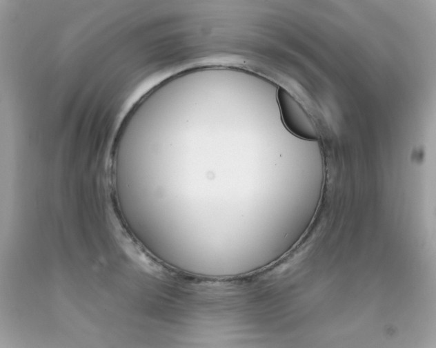 X0000092251044200709141001