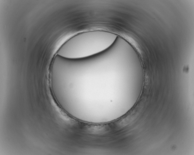 X0000092251047200709141001