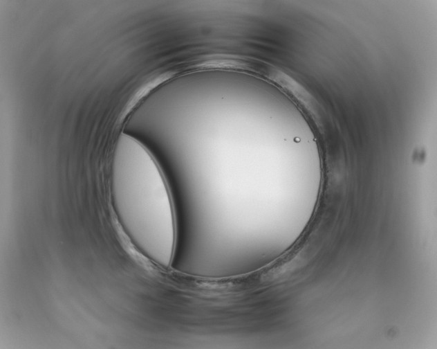 X0000092251049200709141001