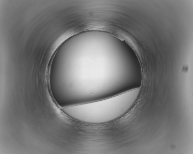 X0000092251050200709141001