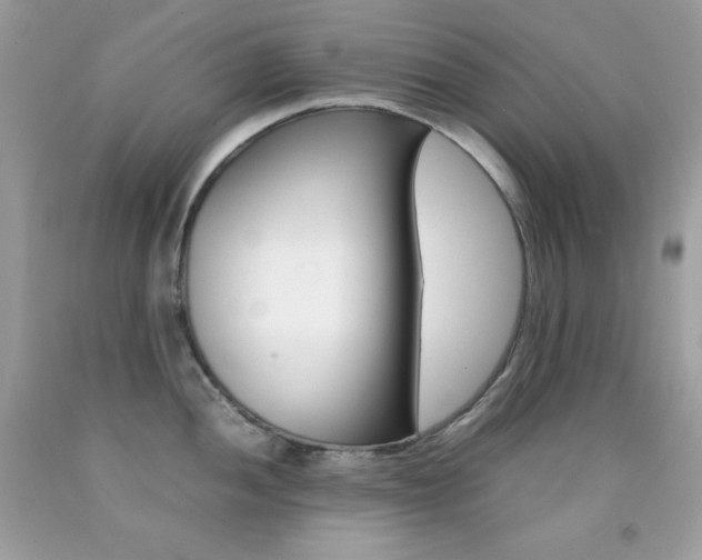 X0000092251052200709141001