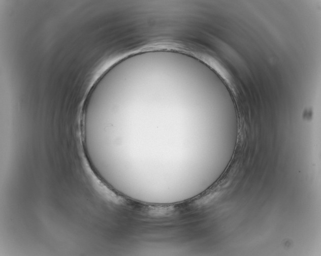 X0000092251055200709141001