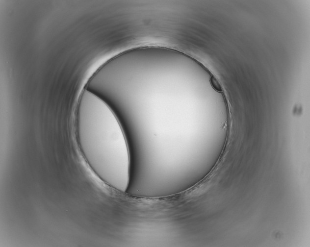 X0000092251056200709141001