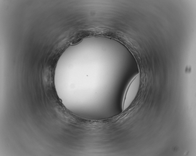 X0000092251058200709141001