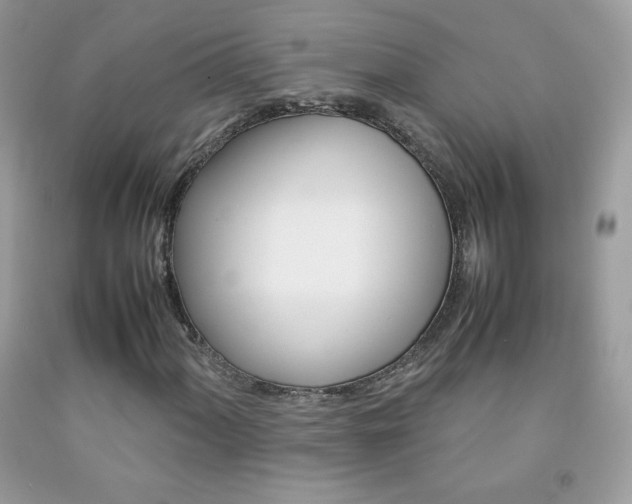 X0000092251060200709141001