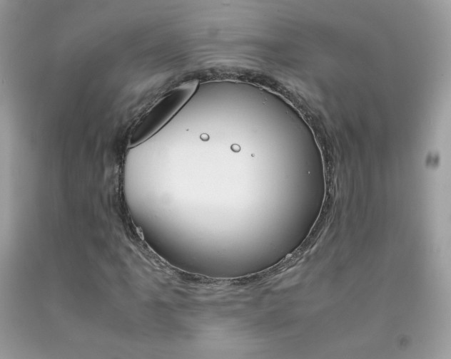X0000092251061200709141001