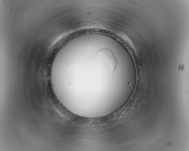 X0000092251064200709141001