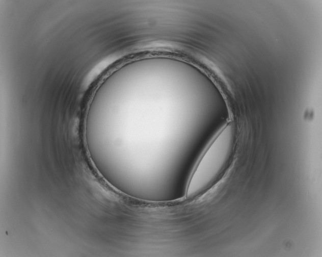 X0000092251066200709141001
