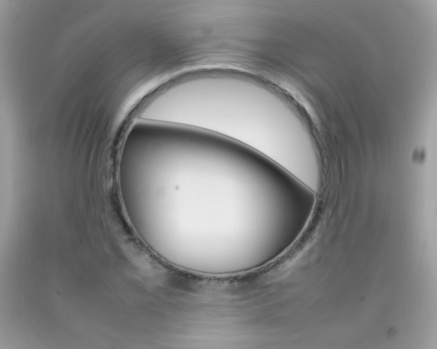 X0000092251069200709141001