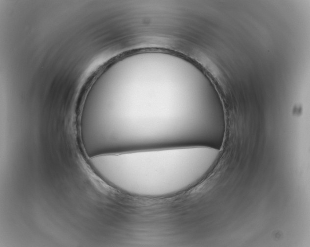 X0000092251072200709141001