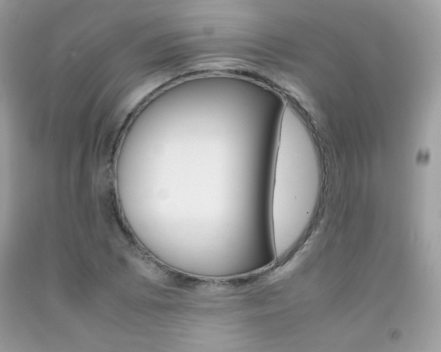 X0000092251073200709141001
