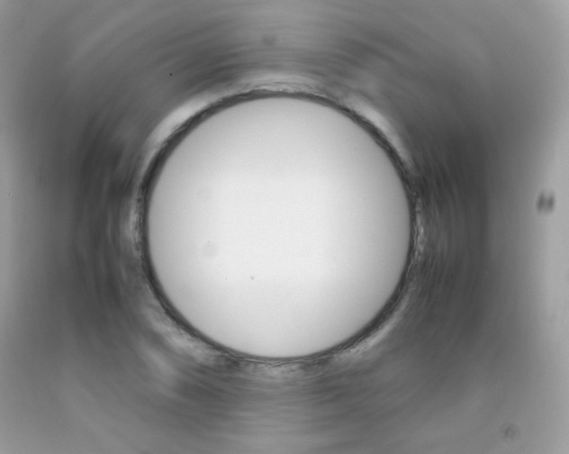 X0000092251074200709141001