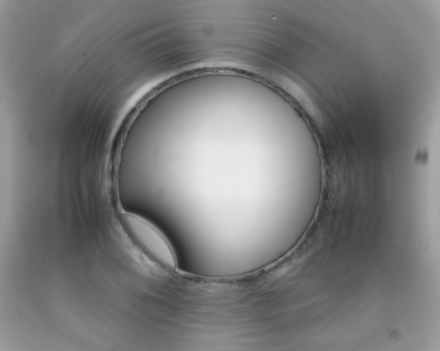 X0000092251076200709141001
