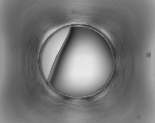 X0000092251077200709141001
