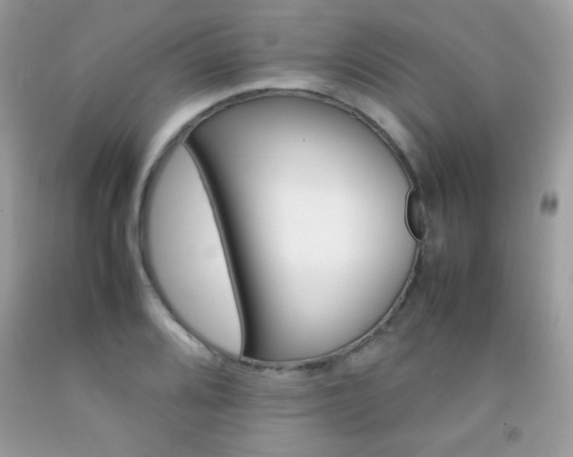 X0000092251080200709141001