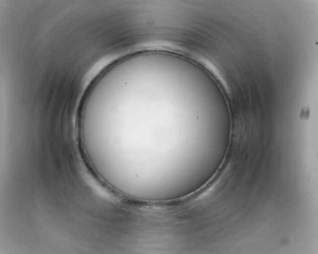X0000092251082200709141000