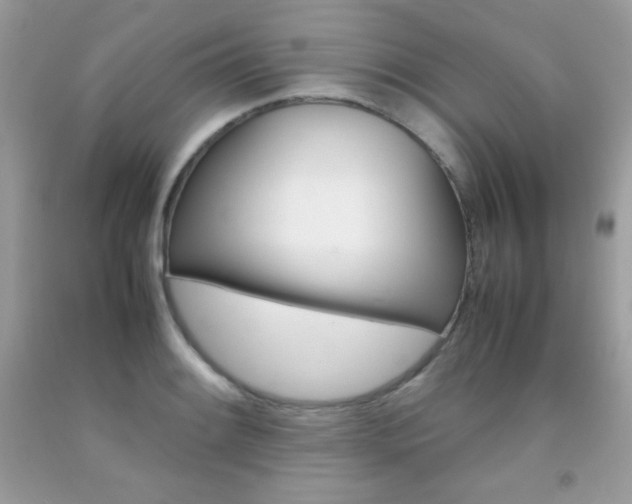 X0000092251084200709141000