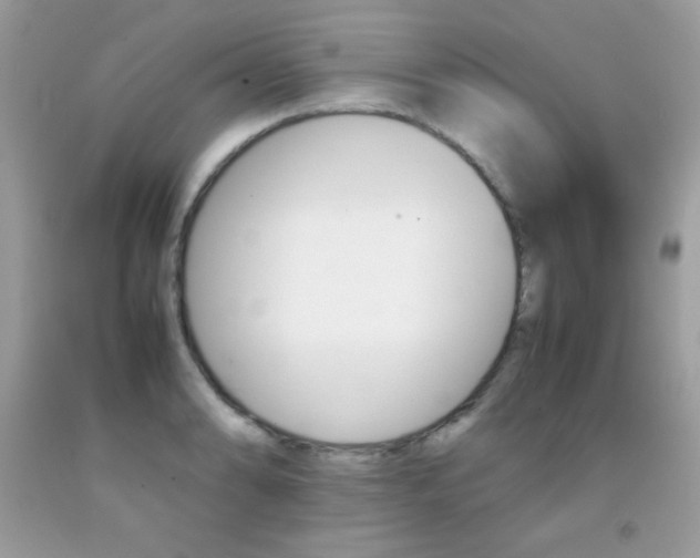 X0000092251086200709141000