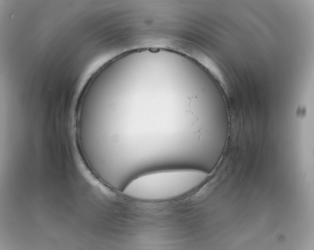 X0000092251088200709141000