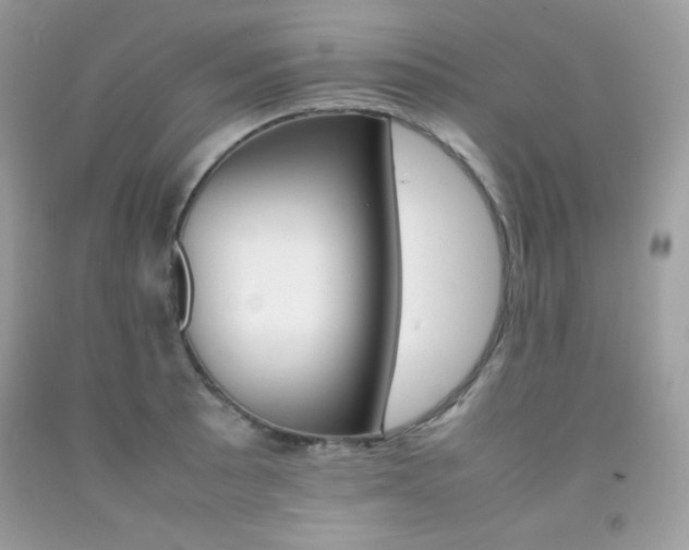 X0000092251089200709141000