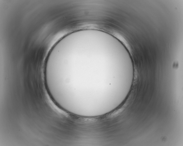 X0000092251090200709141000