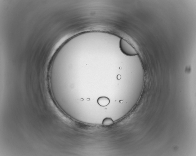 X0000092251091200709141000