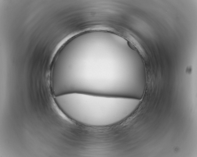 X0000092251092200709141000