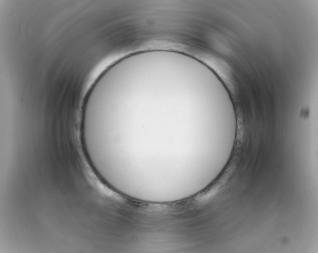 X0000092251094200709141000