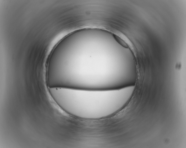 X0000092251096200709141000