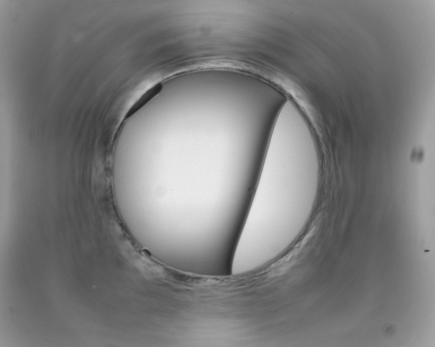 X0000092251097200709141000