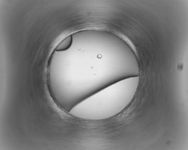 X0000092251099200709141000