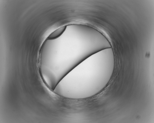 X0000092251103200709141000