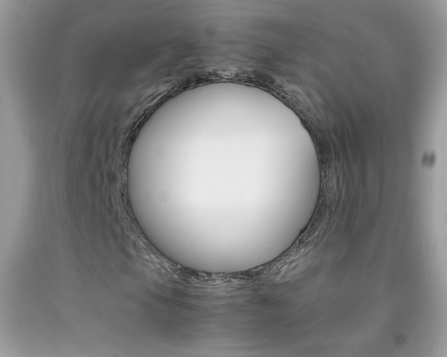 X0000092251105200709141000