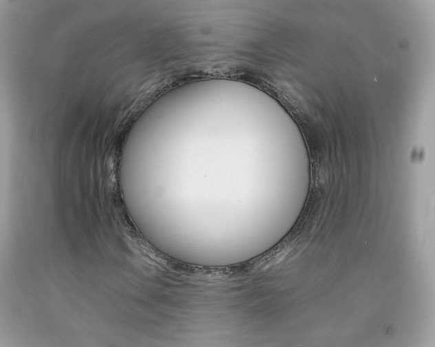 X0000092251106200709141000