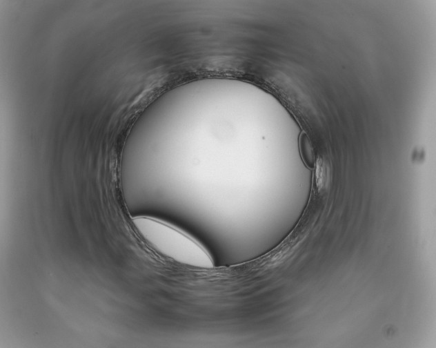 X0000092251107200709141000