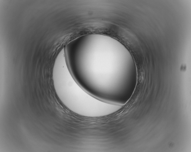 X0000092251108200709141000
