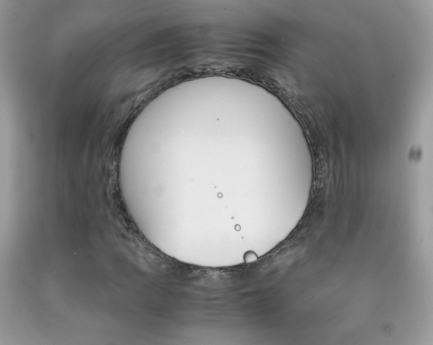 X0000092251109200709141000