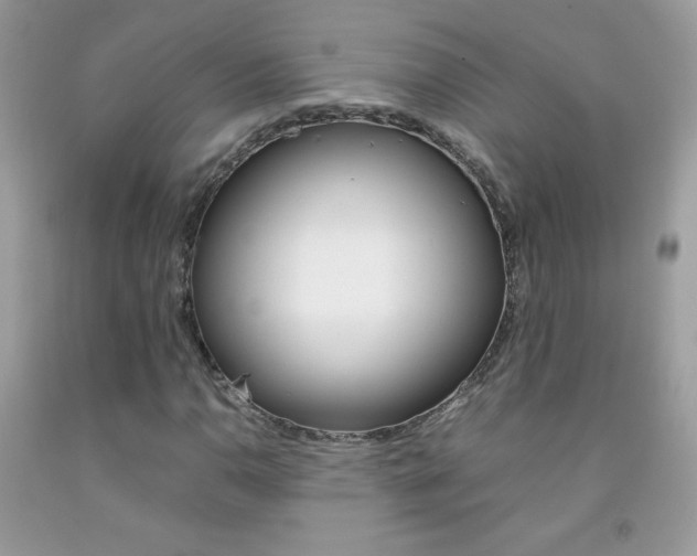 X0000092251110200709141000