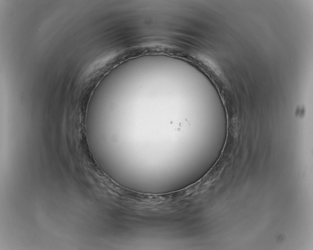 X0000092251111200709141000