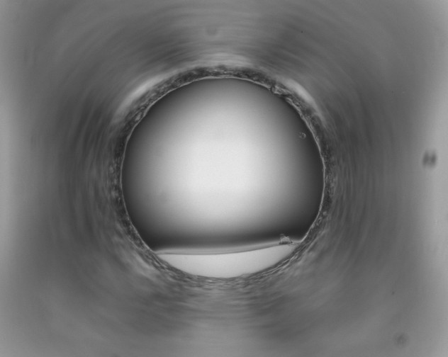 X0000092251112200709141000