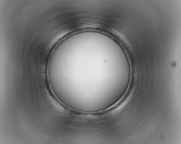 X0000092251113200709141000