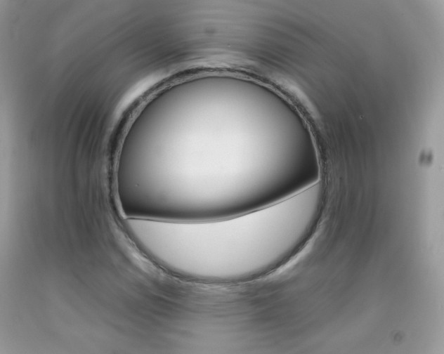 X0000092251114200709141000