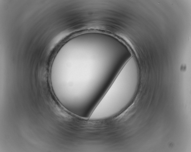 X0000092251115200709141000