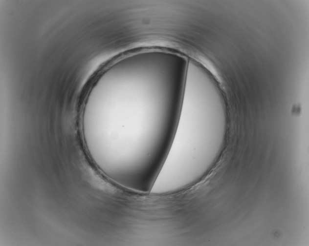 X0000092251116200709141000
