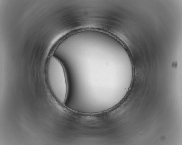 X0000092251119200709141000