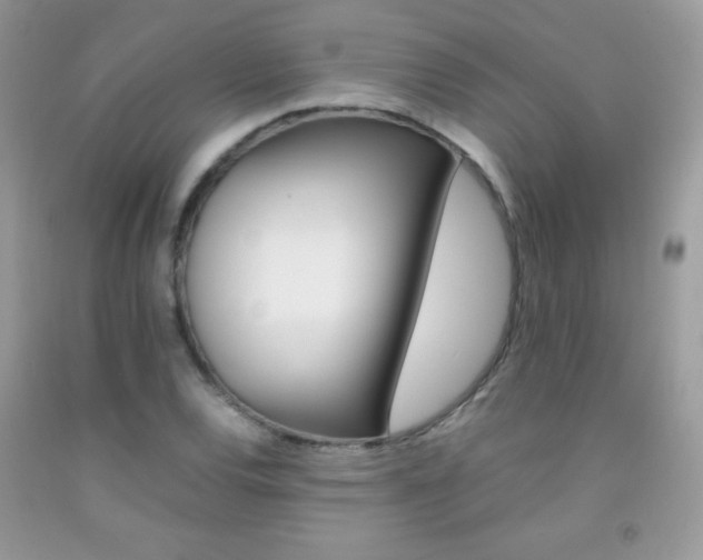 X0000092251120200709141000