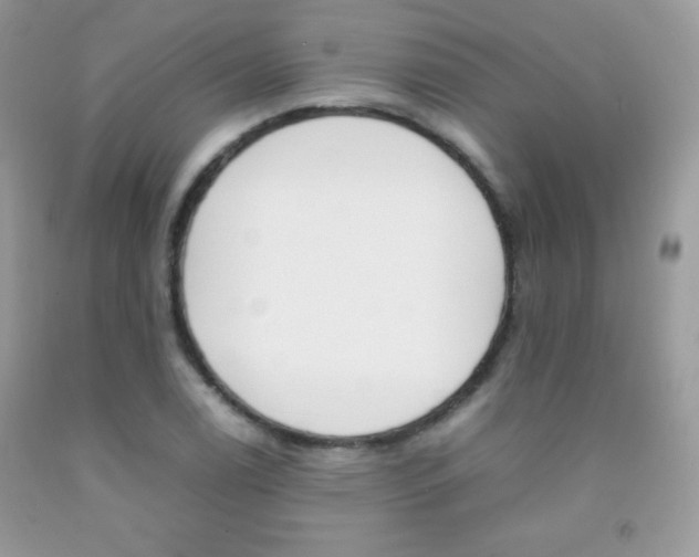 X0000092251122200709141000