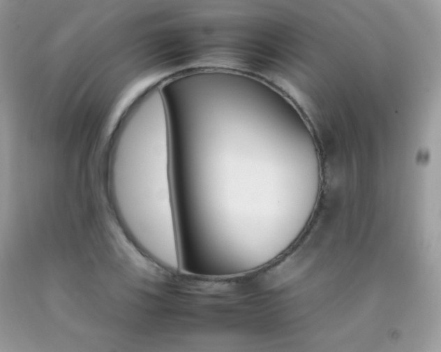 X0000092251123200709141000