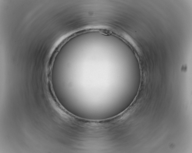 X0000092251124200709141000